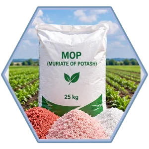Muriat of potash (MOP) | Potassium chloride granular fertilizer in 25kg bag for agricultural use in white, pink and red-brown forms